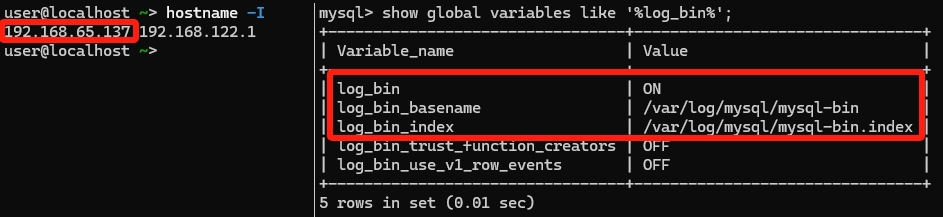 mysql-rectification-12