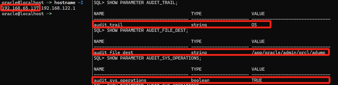 oracle-rectification-10