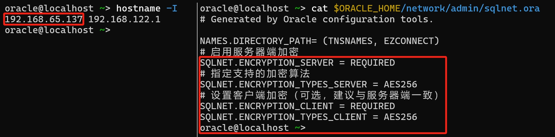 oracle-rectification-5